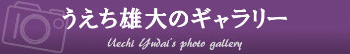 うえち雄大 フォトギャラリー